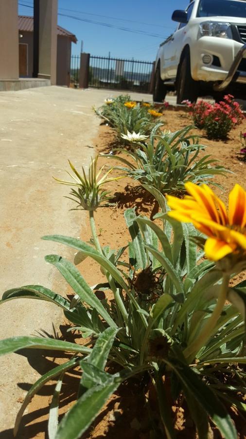 Horizon View Guest House ماسيرو المظهر الخارجي الصورة